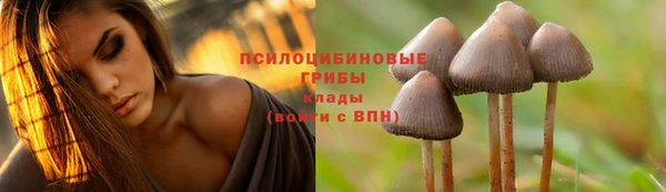 ALPHA PVP Алексин